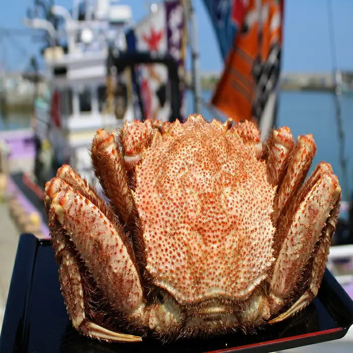 大大!毛がに（冷凍）北海道雄武町産(660ｇ前後×1)【1240302】