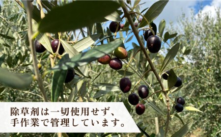 ikicael ハンドクリーム 50g 《壱岐市》【壱岐オリーブ園】 ギフト プチギフト 保湿 [JDU020] 12000 12000円