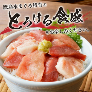 鷹島産本まぐろ 贅沢まぐろ たっぷり2人前(赤身と中・大トロの切り落とし200g)×1パック( 魚 マグロ 新鮮 柵 流水解凍 人気)【A8-041】