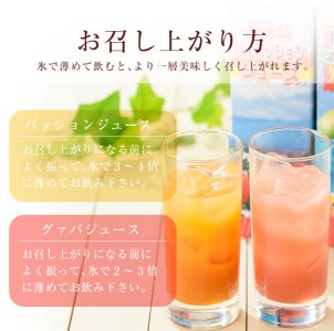 n025 パッション・グァバ ジュース セット 合計2本・各500ml 鹿児島 種子島 希釈タイプ フルーツ 【菓心利休】