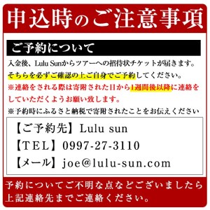 n117 シー カヤック 1day ツアー 1名様分・7時間 ランチ付 種子島 【Lulusun】