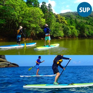 n119 カヤック スタンドアップパドル 1day Comboツアー 1名様分・7時間・ランチ付 種子島 SUP 【Lulusun】