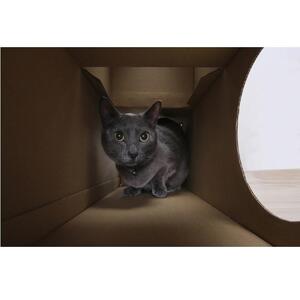 ねこねこトンネル　トンネルセット P-NTT アイリスオーヤマ