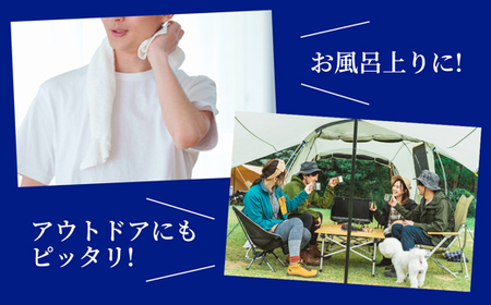 【定期便6回】 オリオンビール オリオンサザンスター 350ml×24缶 【価格改定YA】