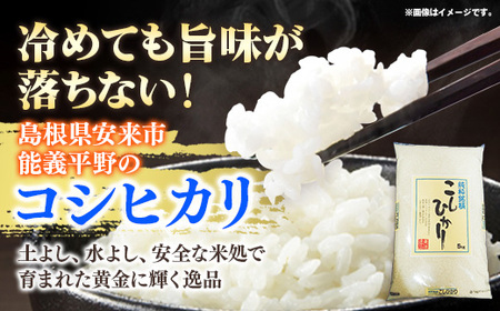 【定期便】五ツ星お米マイスター厳選 能義平野のコシヒカリ 5kg×5回 【令和7年産 5ヶ月定期便こしひかり 計25kg 精米 白米 ご飯 お米 美味しい 安心 安全 沼田米穀店 島根県 安来市】【価格変更】【67-NB-02】