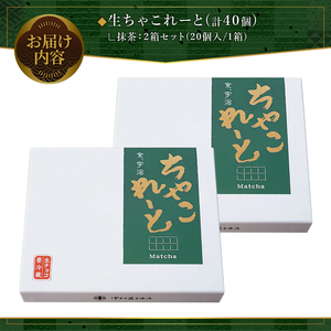 《中村藤吉本店》生ちゃこれーと(抹茶/20個×2箱)特産品 チョコレート チョコ 生チョコ 宇治茶 宇治抹茶 抹茶 菓子 スイーツ 【uj-AZ004】【中村藤吉本店】