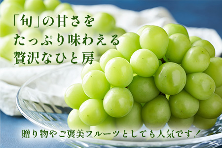 【先行予約】朝採れ即日発送◆数量限定◆シャインマスカット 約2kg 3～4房【先行予約】【2026年8月中旬～9月下旬配送予定】鮮度第一 可愛いラッピングで贈り物にも◎ ご褒美 プレゼント 贈答 ギフト 果物 葡萄 ぶどう マスカット 野菜 佐賀 鹿島市 人気 送料無料 C-38