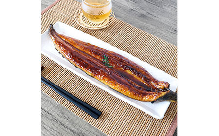 【数量限定】うなぎ うなぎ蒲焼き 国産 特大 3尾セット タレ付き 1尾200g超え 仁淀川 太化うなぎ おいしい 人気 冷凍 真空パック 夏【株式会社山本養鰻】 [BQAL001]