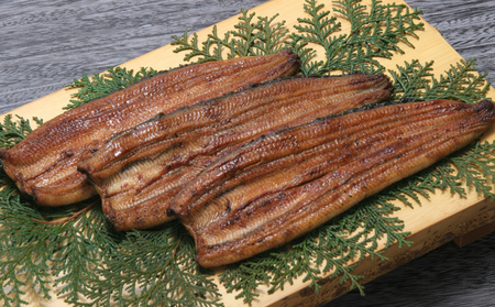 ＜うなぎ＞うの匠 浜名湖うなぎ長蒲焼3枚セット 計約300g【遠鉄百貨店×高島屋】 魚貝類 惣菜 