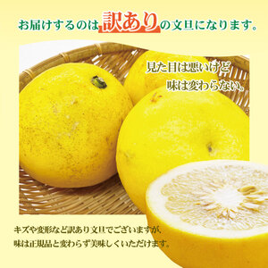 【先行予約】数量限定！【訳あり】土佐文旦（ぶんたん）家庭用（M~5L 混合）約7kg 〈2027年2月中旬～発送〉 文旦 7キロ 土佐文旦発祥の地 直送 約10~22玉 大玉 【株式会社とさもん】 [BQAE031]