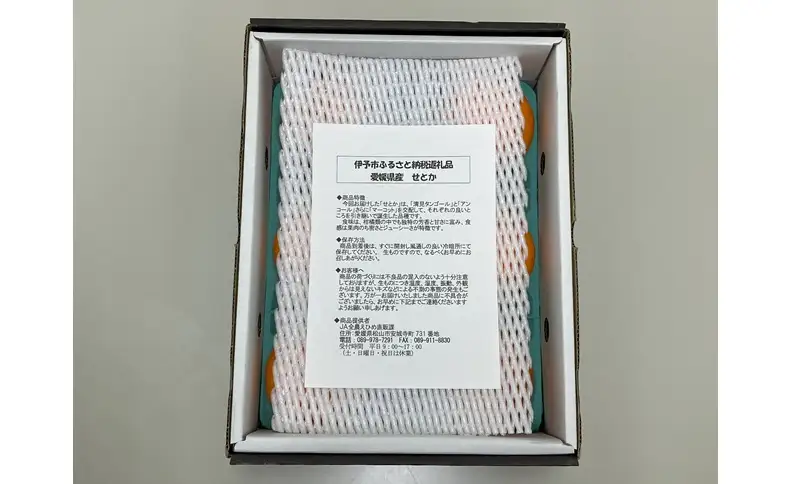 【2027年先行予約】みかん 愛媛 せとか (1.5kg) 人気 数量限定 【2027年2月下旬以降発送予定】 柑橘 愛媛 伊予市｜B30
