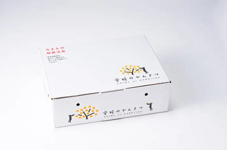 【2027年先行予約】デコポン 2.4kg みかん 愛媛 【2027年3月上旬から順次発送予定】 人気 数量限定 先行予約 柑橘 伊予市 ｜B32