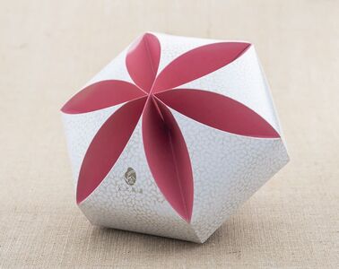 パットライス ポン菓子 金沢製菓 PONGASI 結 コメオコシ 海街商店 贈答用 母の日 おしゃれ セット お菓子 ギフト 子供 詰め合わせ 祝い 伊予市｜B63