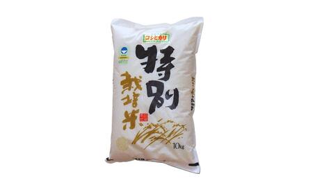 [定期便10kg×3ヶ月] 特別栽培米 コシヒカリ10kg 令和7年産 新潟県認証 新潟県三条市産 アグリ巧房