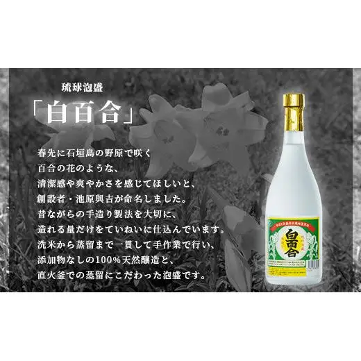 IK-10 池原酒造 白百合 720ml 30度 12本セット