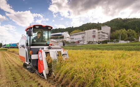 特別栽培米 伊賀米食べくらべ真空パック セット 6合（900g）×3【nsym0004】