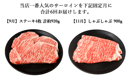 【年6回】伊賀牛 A5サーロイン 定期便コースA 総合計約5.4kg【dido-tkb0009】