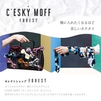 【 蝶ネクタイ 】 蝶ネクタイシルク
