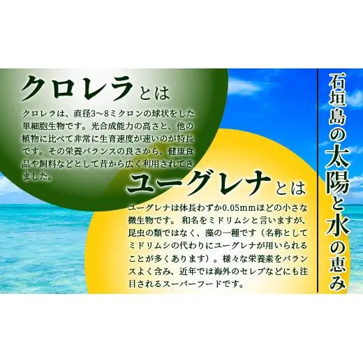  ≪そうめん≫ 石垣島のユーグレナ＆クロレラ入り乾麺(4セット入り化粧箱×2 箱、合計8セット）AR-1