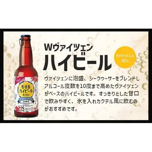 V-25 石垣島ハイビール 12本セット