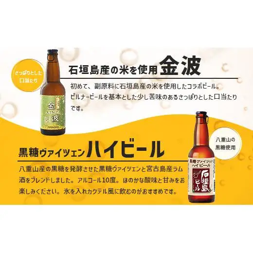 石垣島ビールおつまみセット大 　V-23