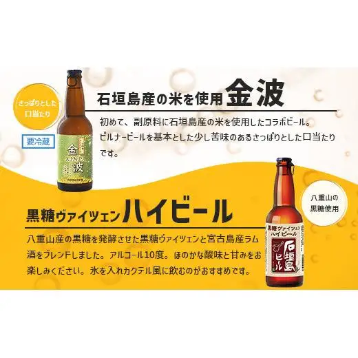 石垣島ビール詰め合わせ おまかせ12本セット　 V-22