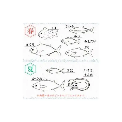 【 お刺身 】 お刺身セット