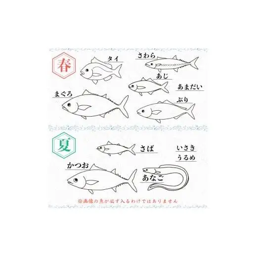 【 地魚 】 地魚3から4種