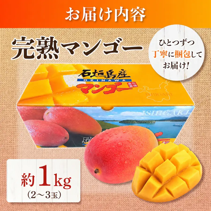 石垣島産マンゴー (アーウィン種) 2～3玉 約1kg