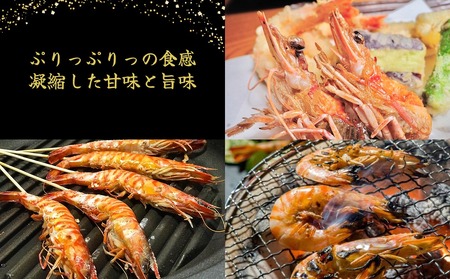 車海老【久米総合開発】活き〆急速冷凍 久米島ブランド車海老 中サイズ 500g 車えび 海鮮