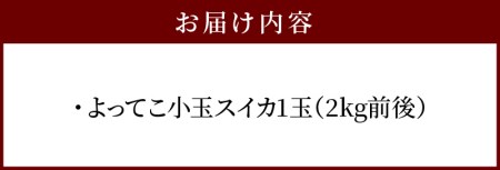 よってこ小玉すいか1玉　先行予約 ピノガール よってこファーム フルーツ デザート 果物  DG-0001