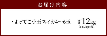 よってこ小玉すいか4?6玉　先行予約 ピノガール よってこファーム フルーツ デザート 果物 DG-0002