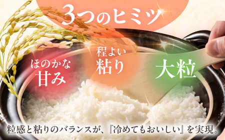 【令和7年度米】【全6回定期便】なつほのか 白米 5kg×6回 計30kg  波佐見町産【冨永米穀店】 [ZF11]