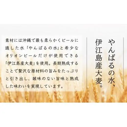 オリオンビール ザ・ドラフト 350ml缶 24本