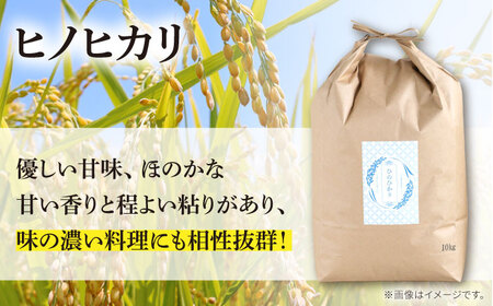 【南島原市産ヒノヒカリ】10kg×12回 定期便 / ひのひかり 米 お米 こめ コメ 精米 / 南島原市 / 林田米穀店 [SCO007]