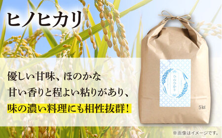 【南島原市産ヒノヒカリ】5kg×3回 定期便 / ひのひかり 米 お米 こめ コメ 精米 / 南島原市 / 林田米穀店 [SCO008]