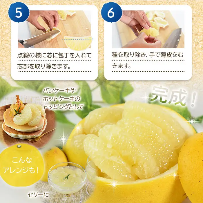 文旦 高知 10kg 高知県 家庭用 10kg家庭用 2L～4Lサイズ (規格外) 高知 先行予約 期間限定 間城農園 文旦 - ぶんたん フルーツ 果物 柑橘 訳あり ms-0096