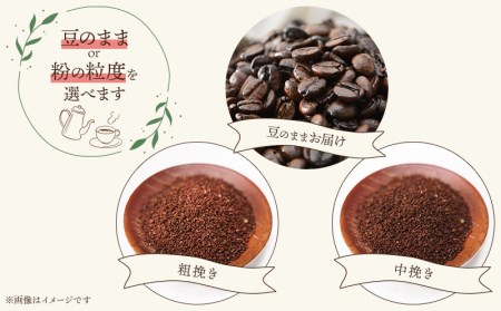 コーヒー 2種類 コーヒー[《中挽き》 バリスタおすすめのコーヒー 60g×2種類 計120g 中挽き 珈琲 セット 120g 浅煎り 深煎り バリスタ お手軽 ギフト お取り寄せ]