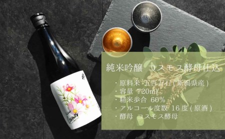 武の井酒造 四季シリーズ純米吟醸4本セット [h169]