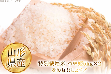 米 令和7年 特別栽培米 つや姫 5kg 2P 計 10kg [JA山形おきたま 山形県 高畠町 tk06ays870002]
