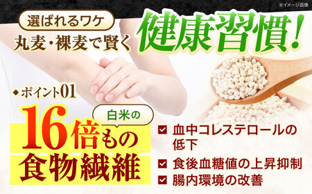 むぎくい亭(丸麦500g×6・裸麦500g×6) 計6kg / 麦 丸麦 はだか麦 裸麦 麦味噌 雑穀 雑穀米 食物繊維 長崎県産 米 こめ コメ ※ / 諫早市 / 有限会社伊東精麦 [AHBU002]