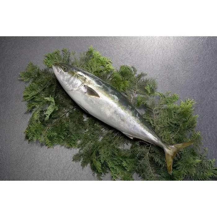 天然ぶり切り身（120g×5）詰合せ