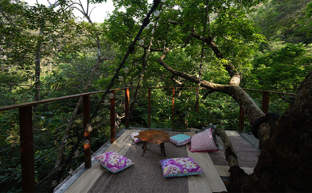 ツリーフルツリーハウス　1泊2日　ペア宿泊券（朝食と焚き火ディナー付き） ５つ星 ホテル 宿泊 沖縄 森林浴 バカンス リゾート 体験 森 自然 やんばる 旅行 宿 特別 カップル 新婚 ペア 朝食付き ディナー おすすめ