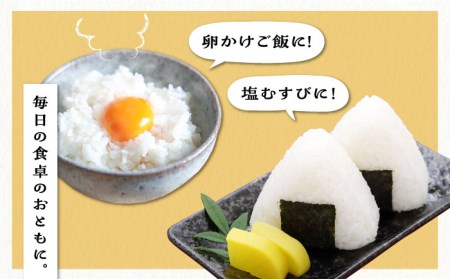 糸島産 夢つくし 10kg 糸島市 / 三島商店 [AIM002] 米 白米