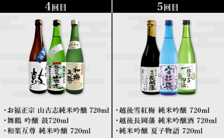 NT15C【5ヶ月連続お届け】新潟県長岡市日本酒15蔵飲み比べ 720ml×15本 毎月3本ずつお届け