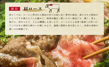 【和牛セレブ】 松阪牛 すき焼き ・ しゃぶしゃぶ （肩ロース） 250g 肉 牛 牛肉 和牛 ブランド牛 高級 国産 霜降り 冷凍 ふるさと 人気 ロース