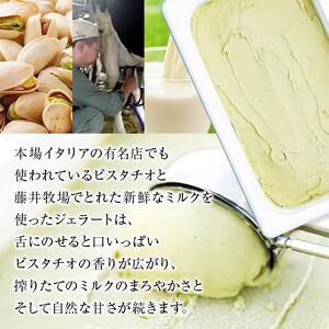 【訳あり】ピスタチオ ジェラート 1.25リットル【大容量 アイス 業務用 スイーツ 人気 デザート 冷凍 氷菓子 1.25L 家族 ファミリーサイズ イタリア シチリア産】