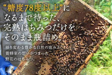 はちみつ 百花 300g 1本 天然 非加熱 純粋 生 はちみつ 蜂蜜