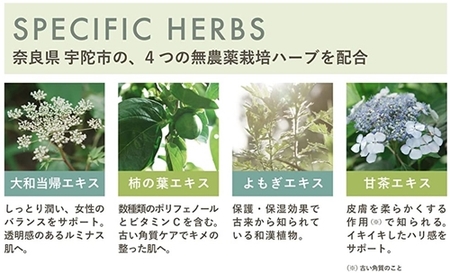 定期便 １２ヶ月 SELALY ルミヌ ジェルオイルクレンジング 月１回／SERENGATE セラリー スキンケア 大和当帰 天然精油 保湿 コスメ 漢方 クレンジング ハーブ 奈良県 宇陀市
