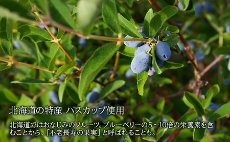 クッキー ジャム ハスカップ チョコレート 6個×2箱セット 《 北海道千歳市 もりもと》